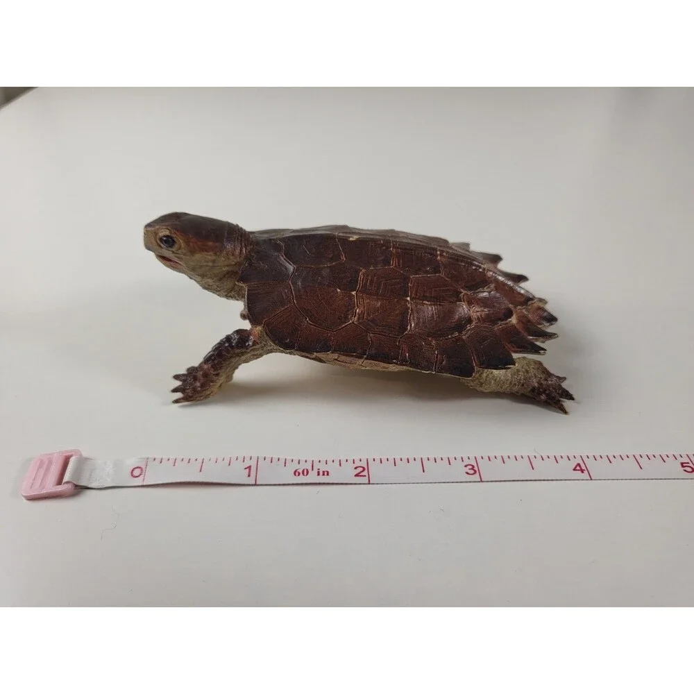 AAA Notched Rubber Tortoise Turtle Figure Realistic Discontinued Brown 4.75” L